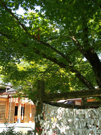 a0027641_14100199.jpg