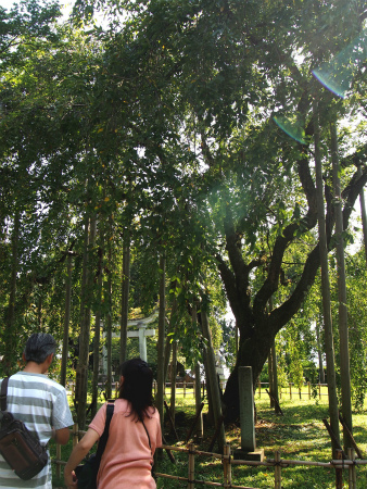 a0027641_14104497.jpg