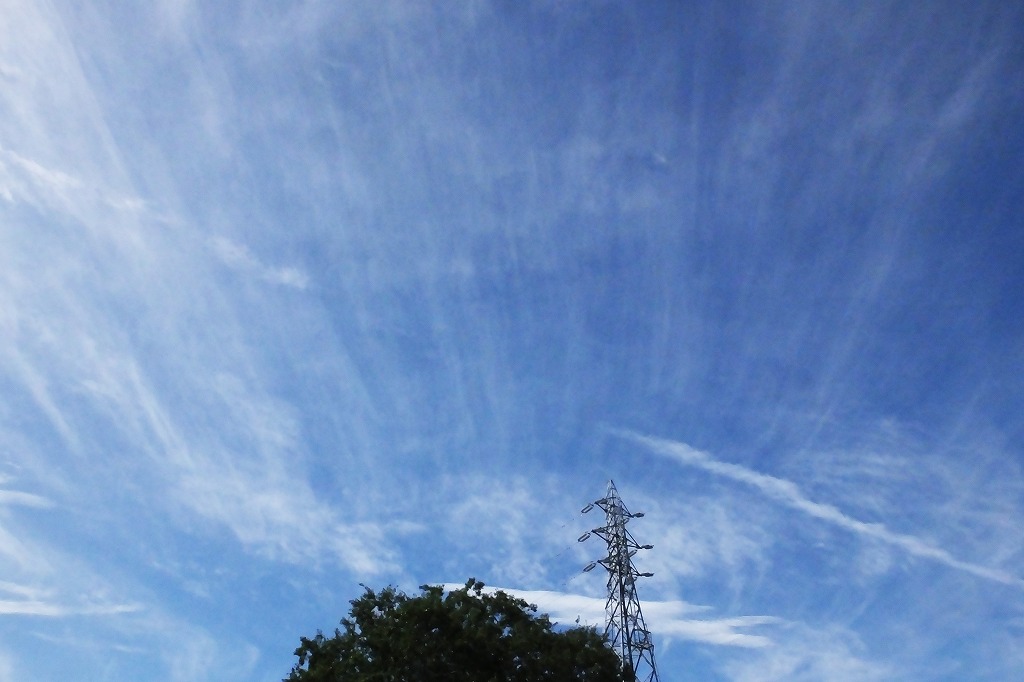b0236251_11205114.jpg