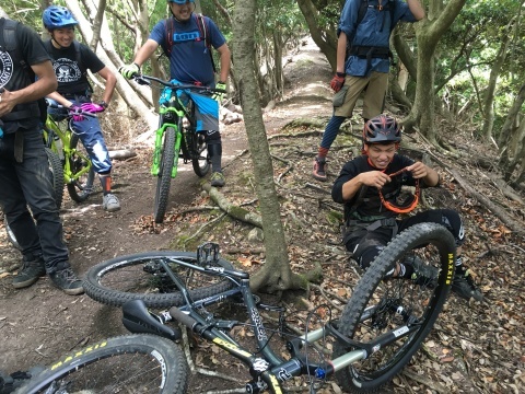 b0164252_21244930.jpeg