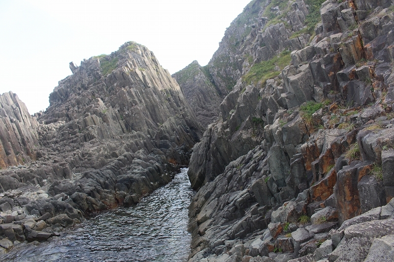 b0250154_22173775.jpg