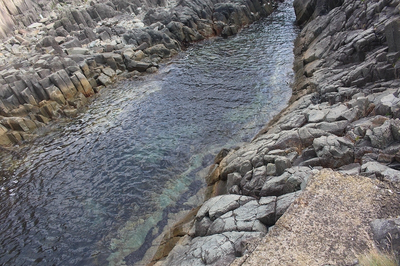 b0250154_22175886.jpg