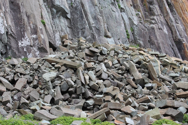 b0250154_22301104.jpg