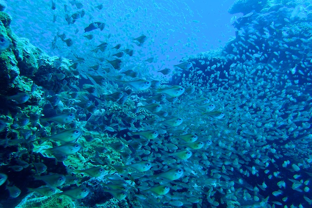 b0062363_1612168.jpg