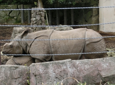e0266067_17311589.jpg