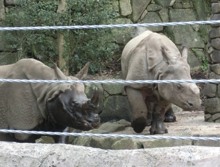 e0266067_17314067.jpg