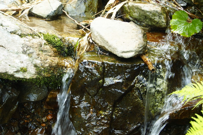 e0307372_13593179.jpg