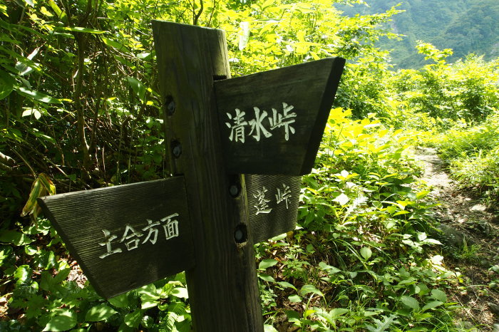 e0307372_14595140.jpg