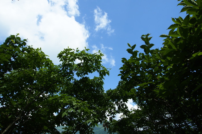 e0307372_15485702.jpg