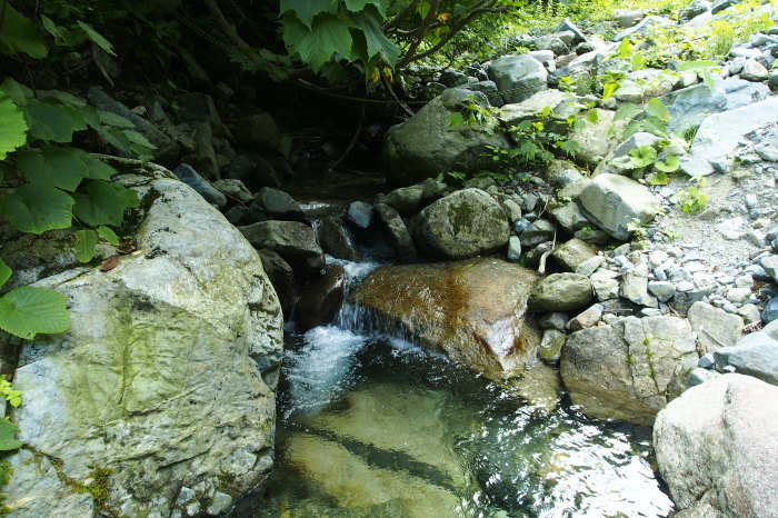 e0307372_15553177.jpg