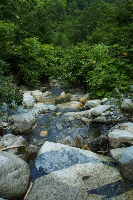 e0307372_15555527.jpg