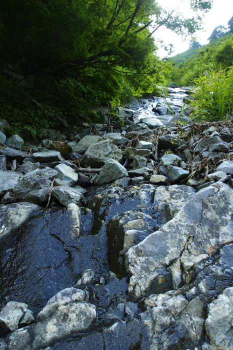 e0307372_16502375.jpg