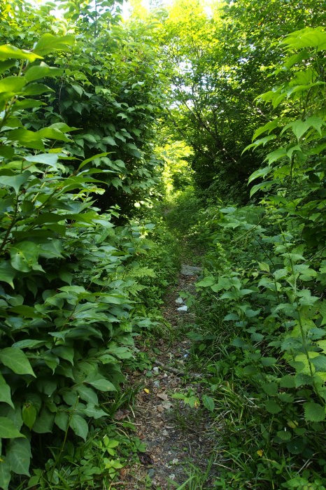 e0307372_16504689.jpg