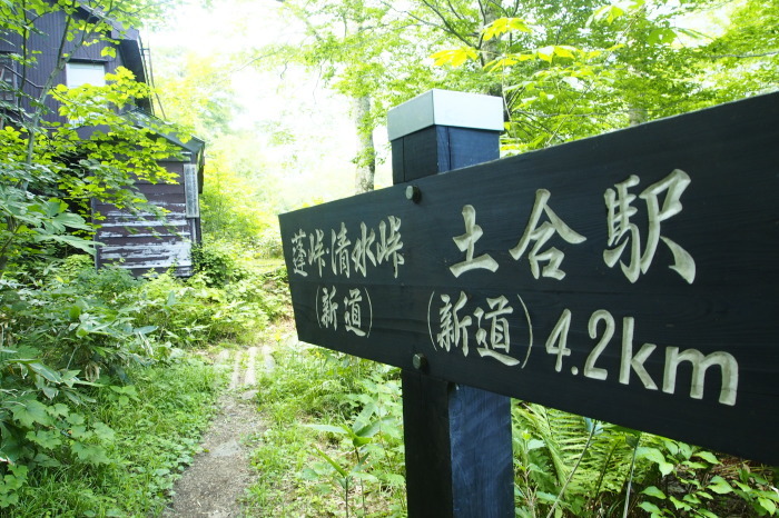 e0307372_17123336.jpg