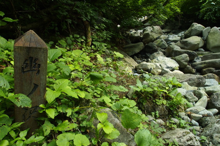 e0307372_17154383.jpg