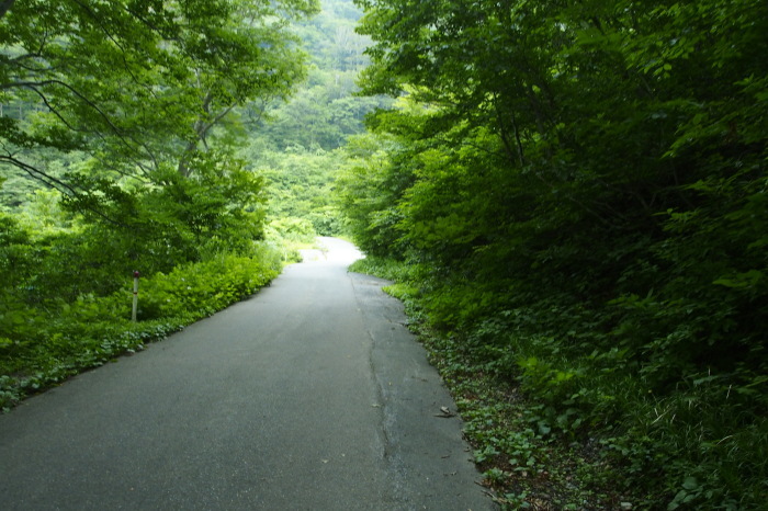 e0307372_19095846.jpg