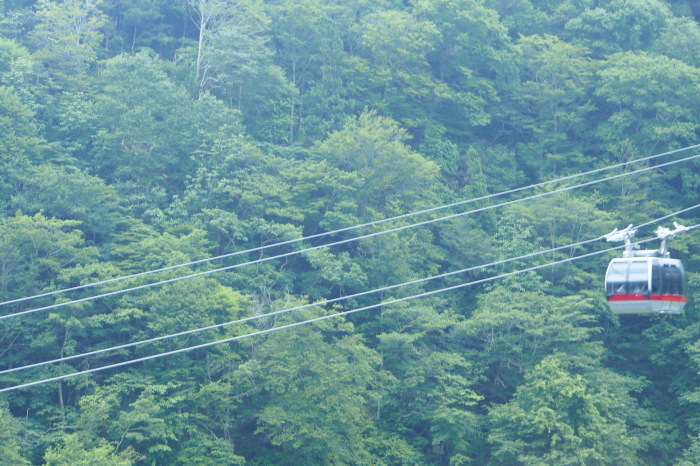 e0307372_19115407.jpg
