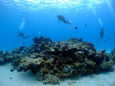 b0033573_18282591.jpg