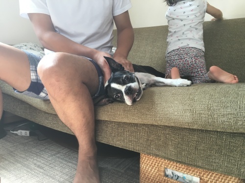 d0041575_17143945.jpeg