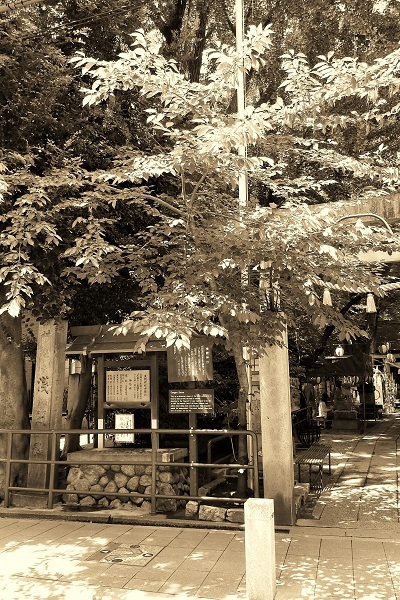 b0326576_11422597.jpg