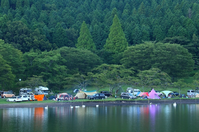 d0126577_21265751.jpg