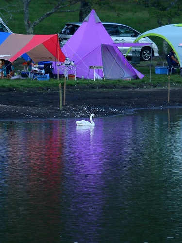 d0126577_21401891.jpg
