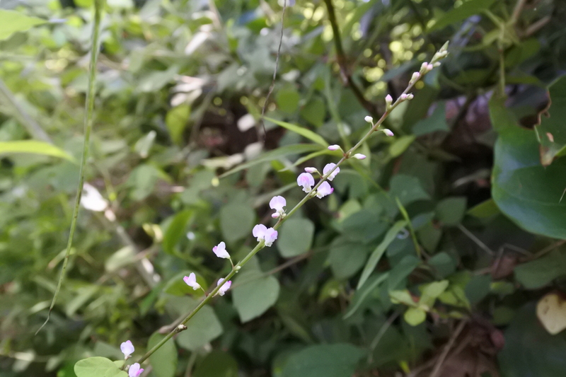 e0024081_16481471.jpg