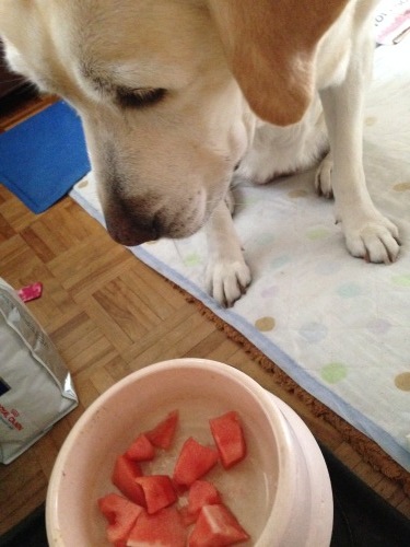 f0315081_22142081.jpeg