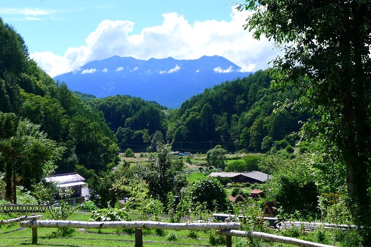 a0130586_196677.jpg