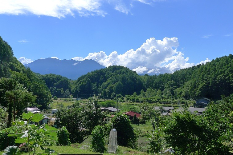 a0130586_1971283.jpg