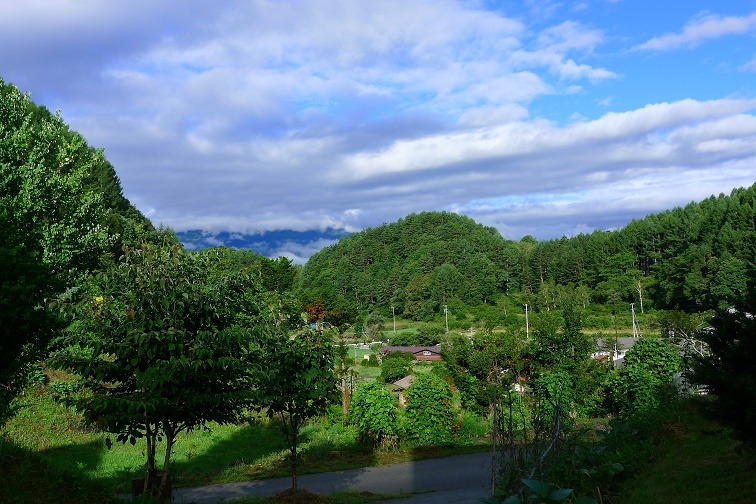 a0130586_87379.jpg