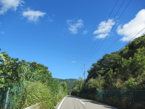 a0251786_14235127.jpg
