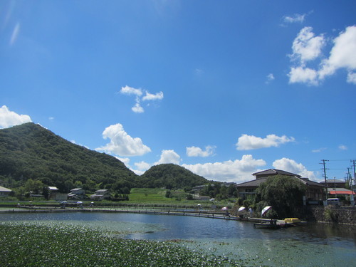 a0251786_1426310.jpg