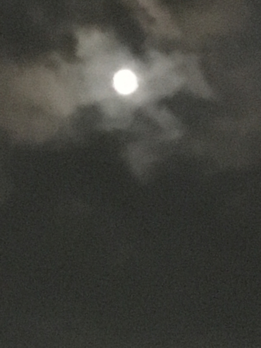 b0183587_22213229.jpg