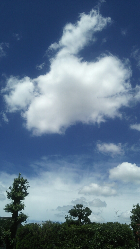 e0244892_12463282.jpg