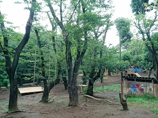 d0091909_12303796.jpg