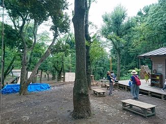 d0091909_12343937.jpg
