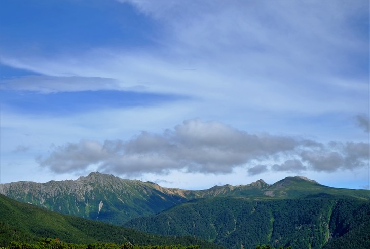 e0000910_157522.jpg