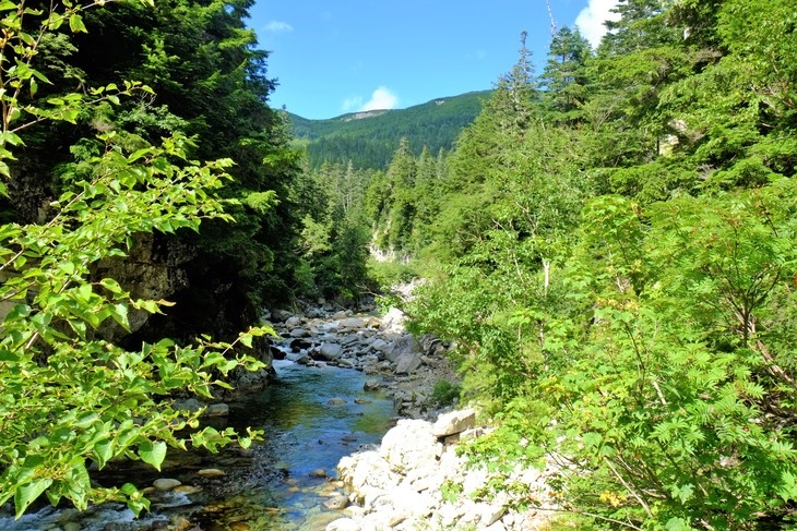 e0000910_16164812.jpg