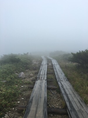 e0000910_17515929.jpg