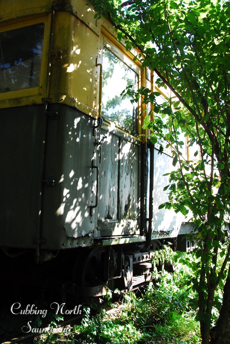 b0223512_127637.jpg