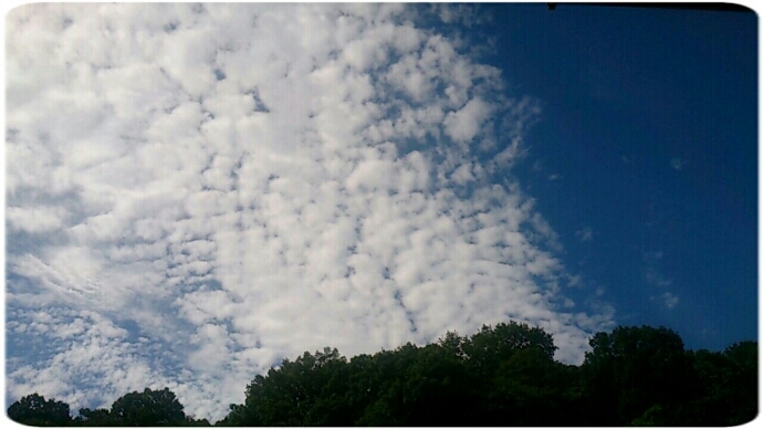 c0352015_20395759.jpg