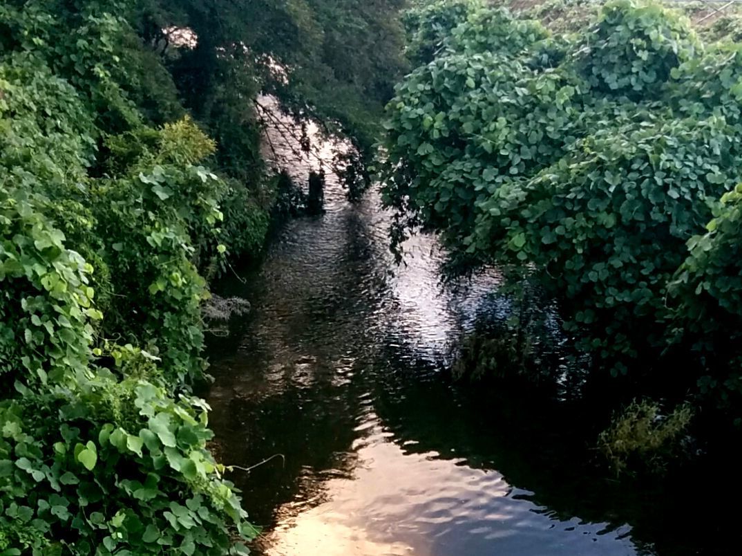 d0197317_14452673.jpg