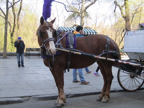 e0041217_10545922.jpg