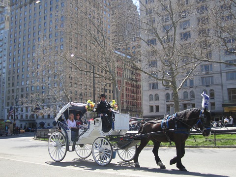 e0041217_10551626.jpg