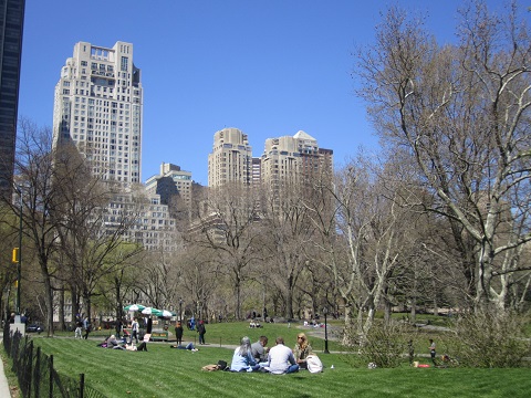 e0041217_1057367.jpg