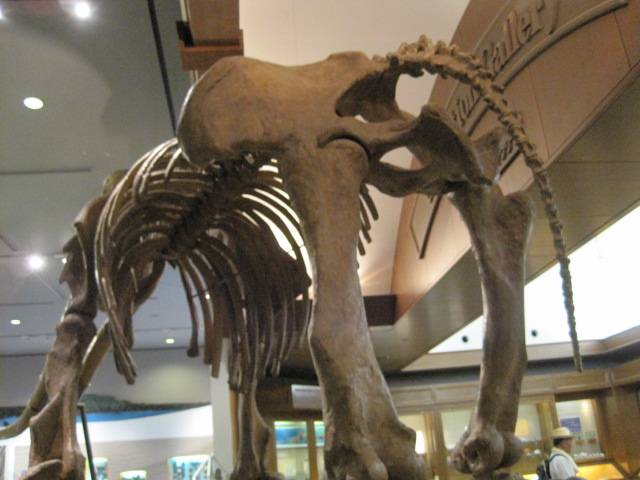 a0216818_12262468.jpg