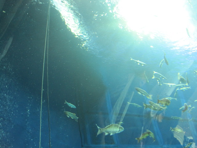 a0216818_12344263.jpg