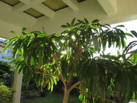 b0132619_9215658.jpg