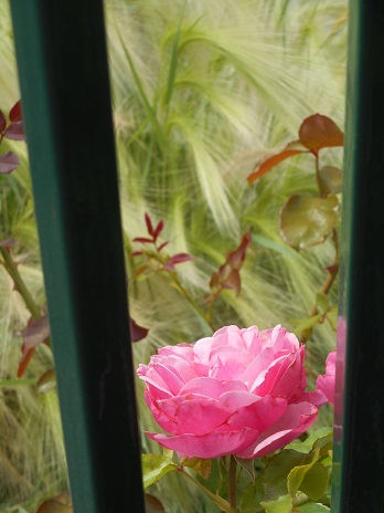 f0036820_12584151.jpg